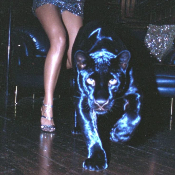 Deniz Black