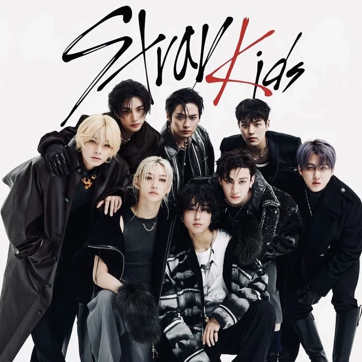 STRAY KIDS 🐺🦊🐷🐰🐱🐶🦦🐥🐹🐿️ thumbnail