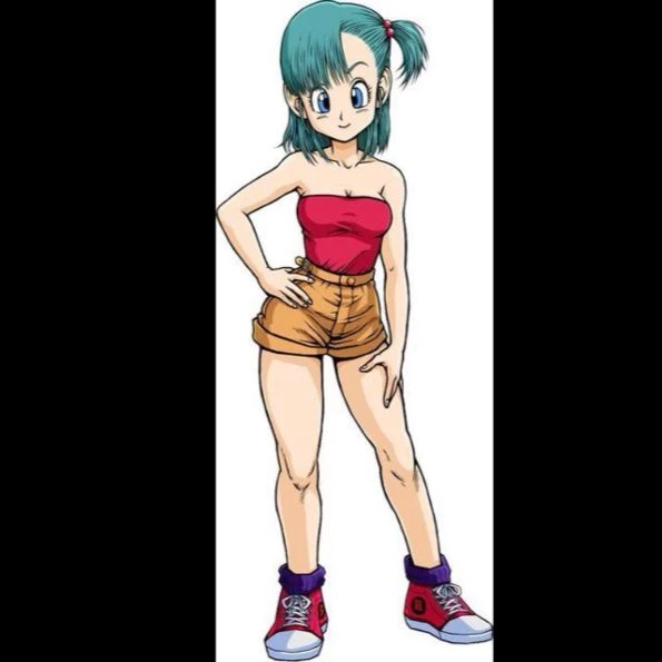 Bulma Briefs thumbnail