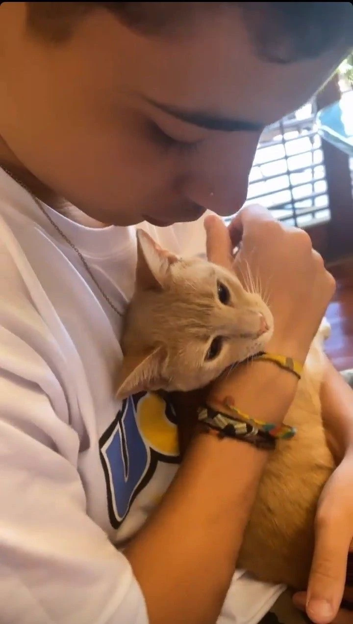 Mateo... thumbnail