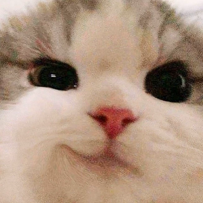 Lee