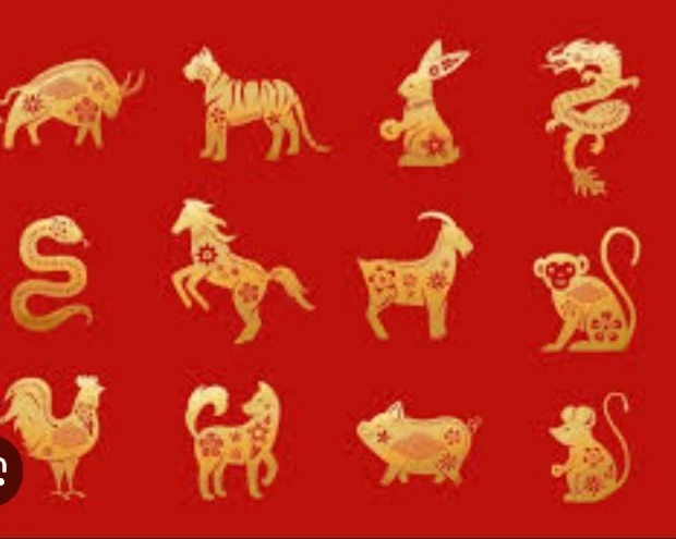 the Chinese zodiac thumbnail