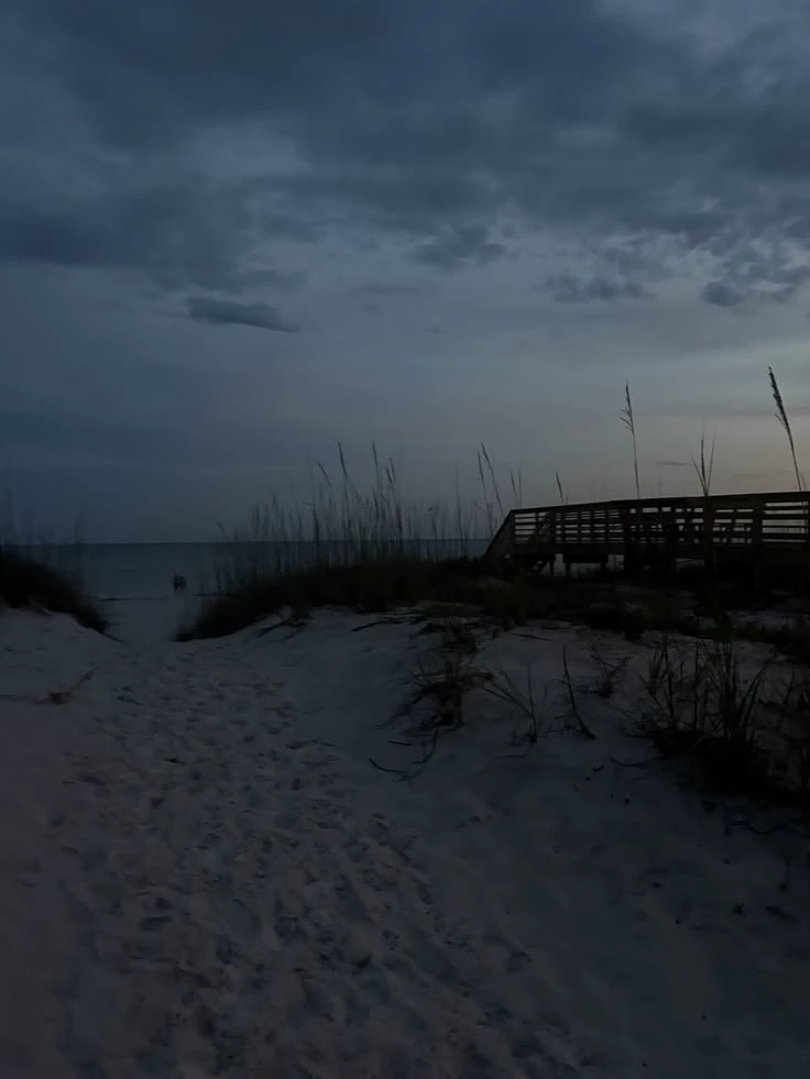 the beach no one forgot thumbnail