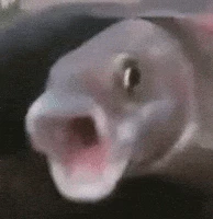 Fish thumbnail