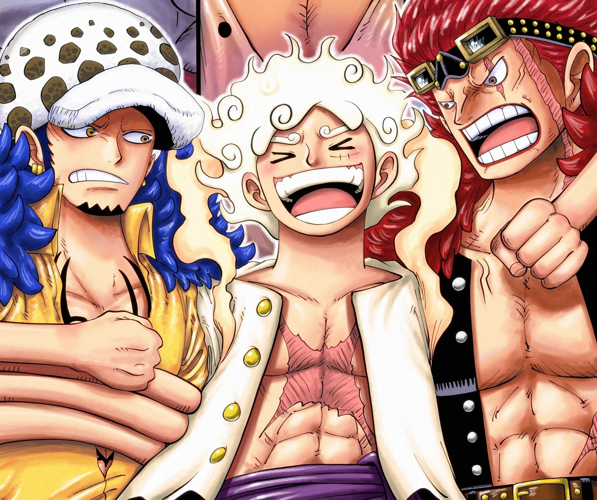 Alliance of the Straw Hats, Heart Pirates and Kid Pirates thumbnail