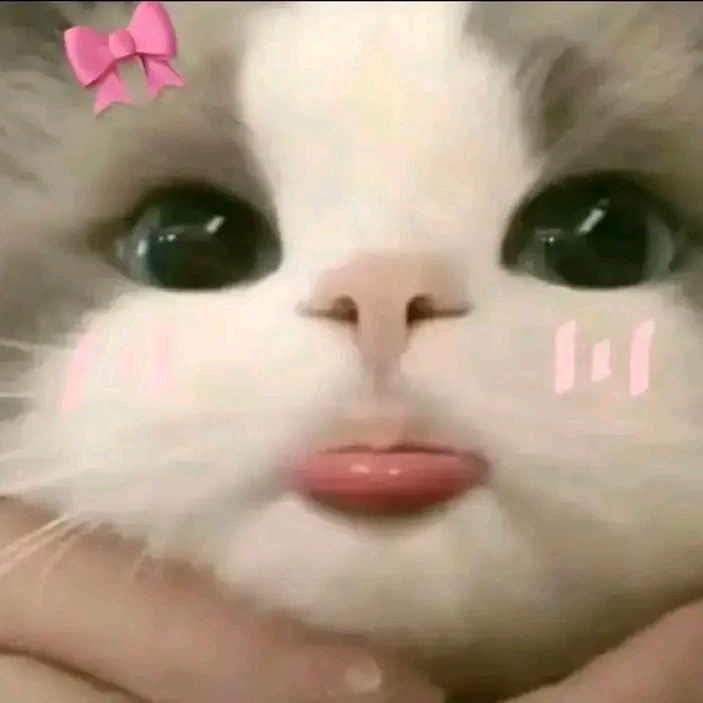Ale