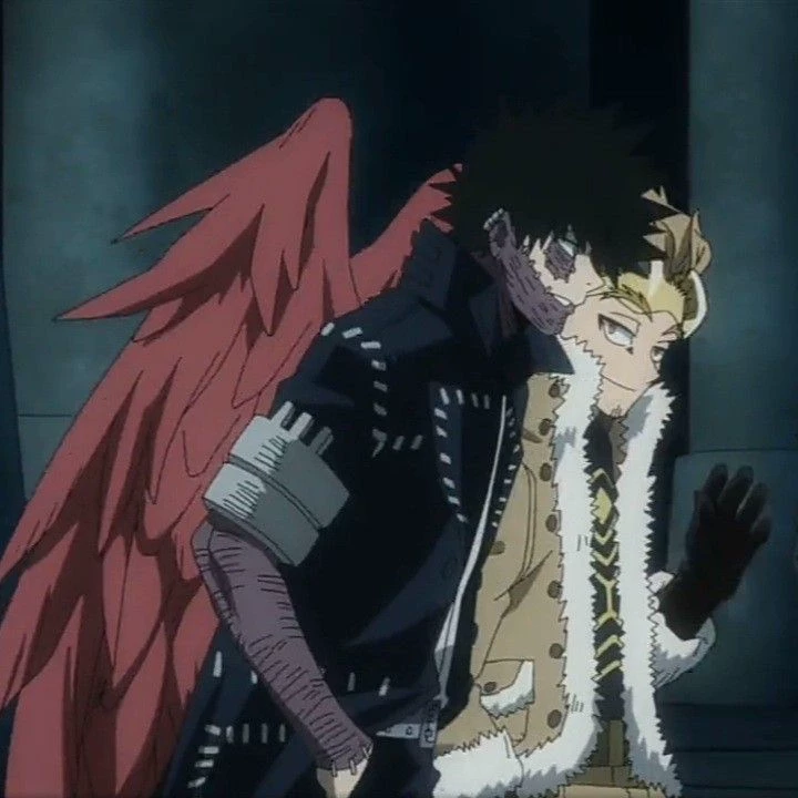 No and hawks thumbnail