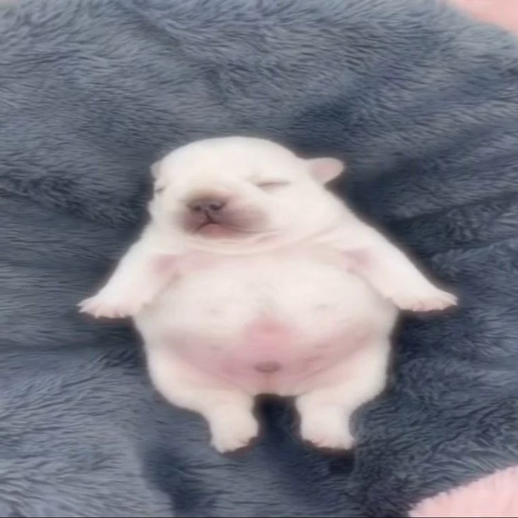 Yeongin