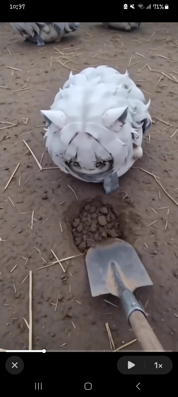 shirokos farm thumbnail