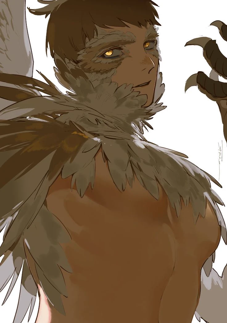 Auster - Hawk Harpy thumbnail