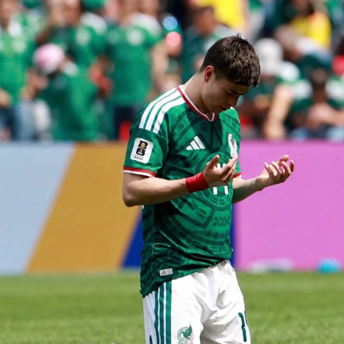 Armando González thumbnail