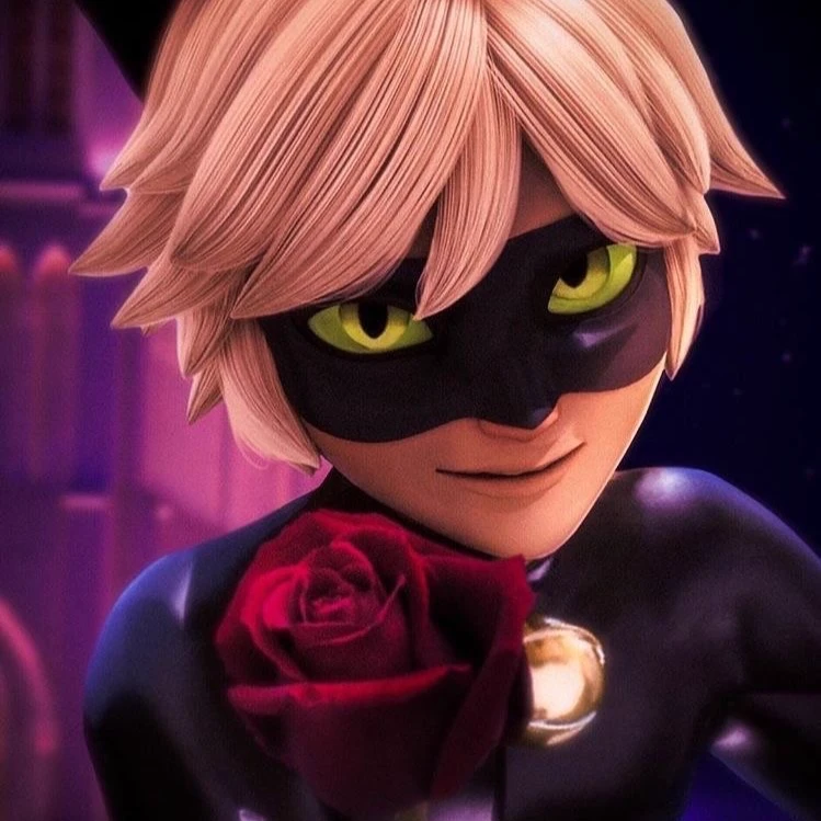 Cat noir thumbnail