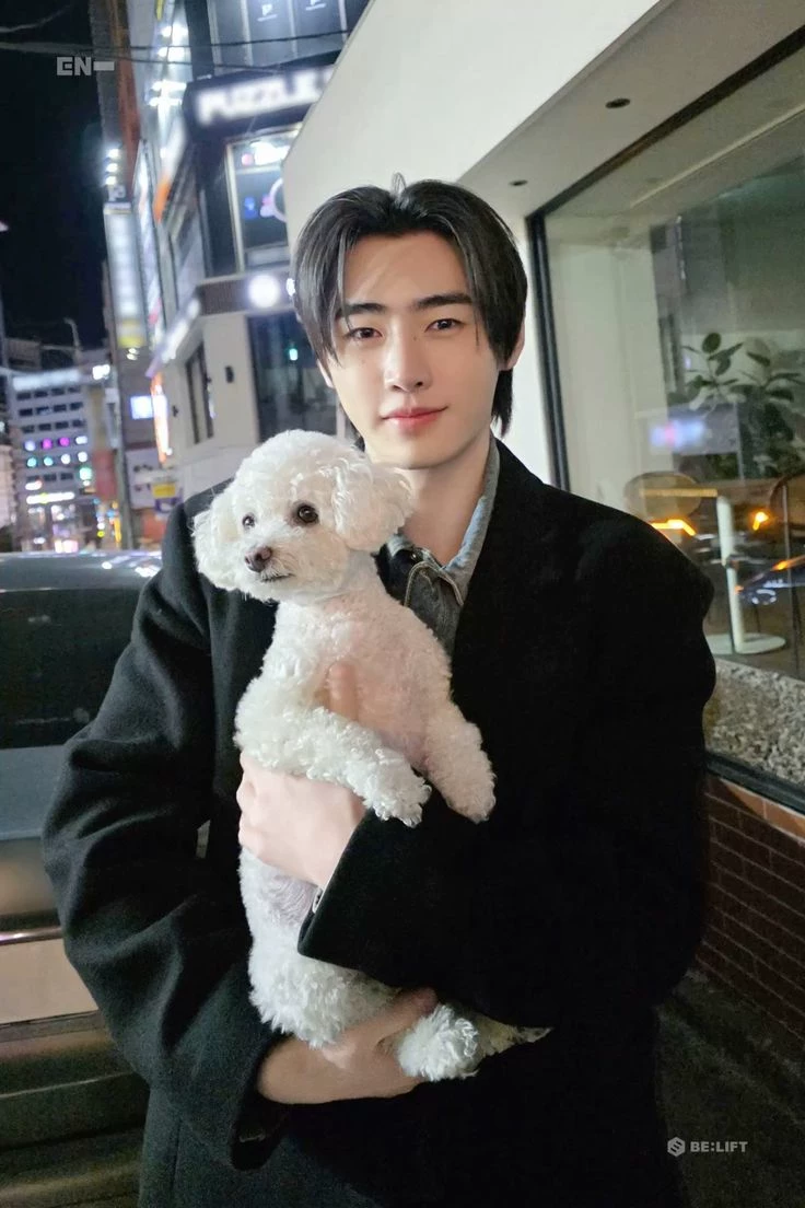 Park Sunghoon thumbnail