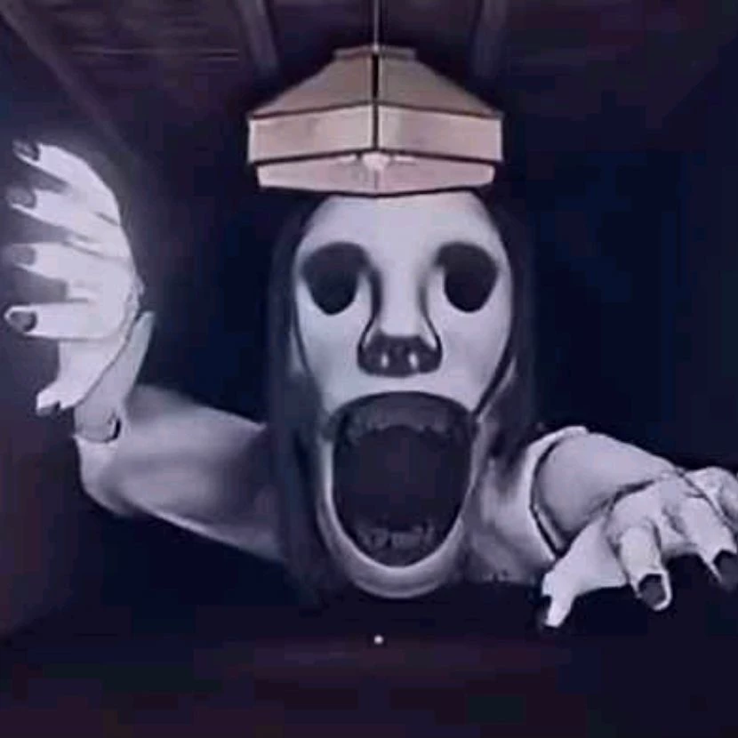 Petapeta thumbnail