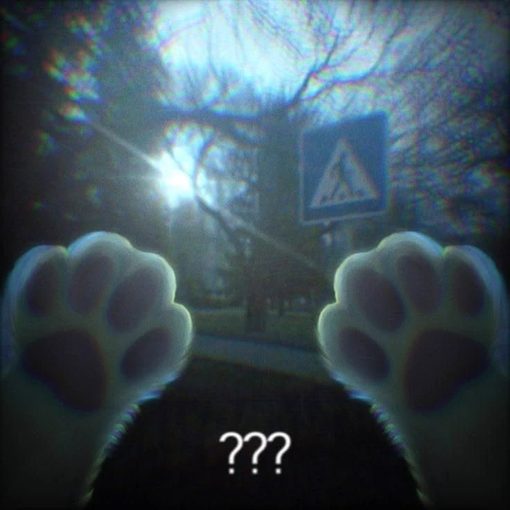 One day you woke up and you are now a cat?? thumbnail