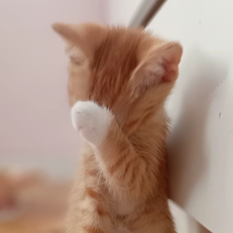 Chance