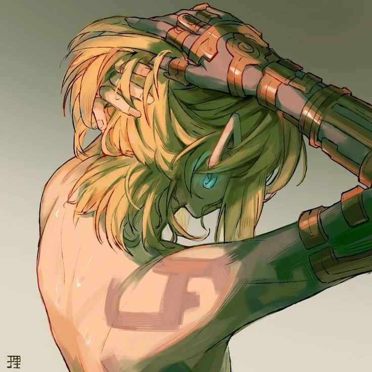 Link (Champion of Hyrule) thumbnail