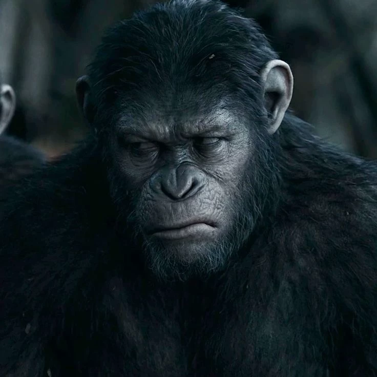 Caesar (Planet of the Apes) thumbnail