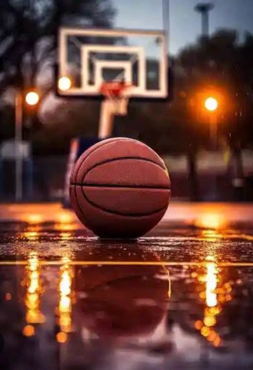 his/her history in Basketball thumbnail