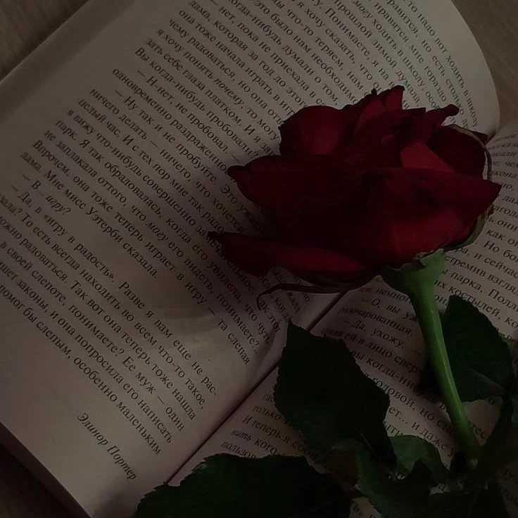{Belle_S}