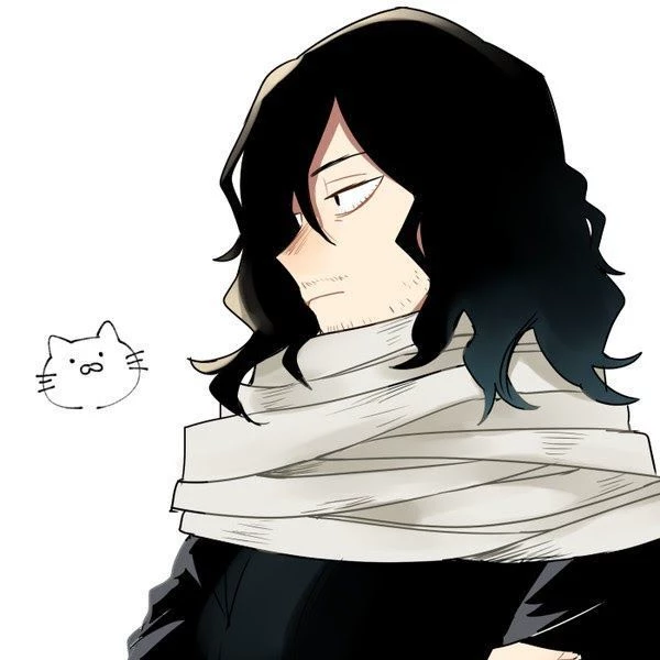 Aizawa Shota (Eraserhead) thumbnail