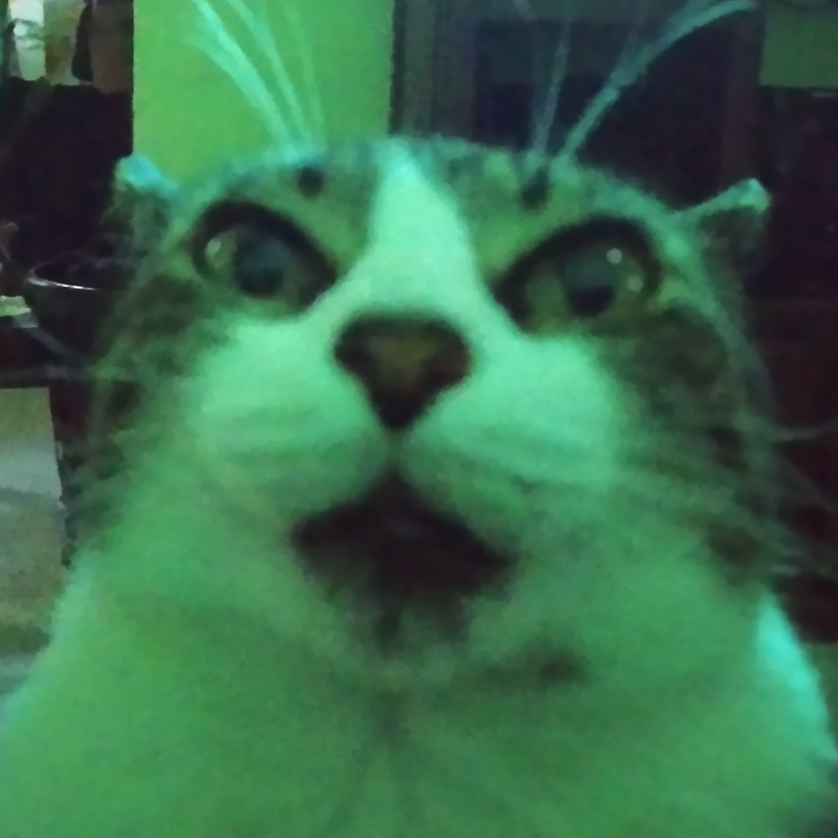Alin