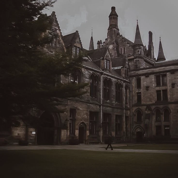 Magic Modern Academy  thumbnail