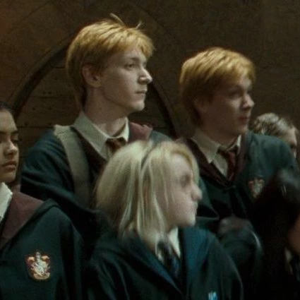 The Weasley Twins thumbnail