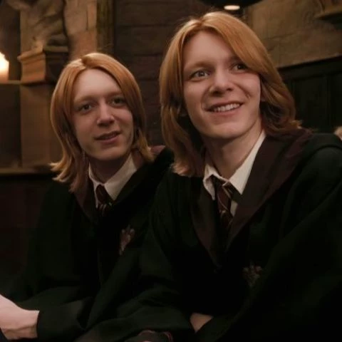 The Weasley Twins thumbnail