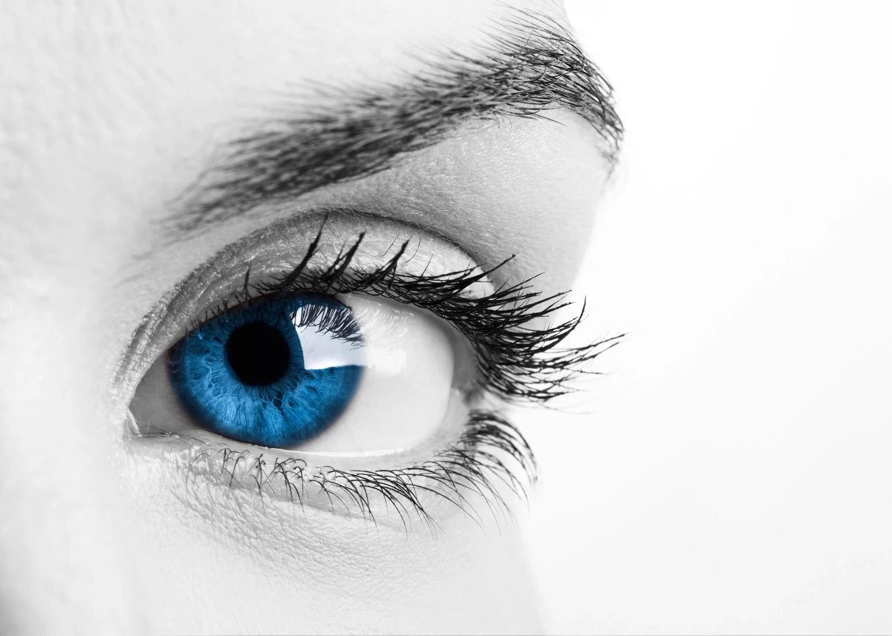 my hero academia blue ocean eyes thumbnail
