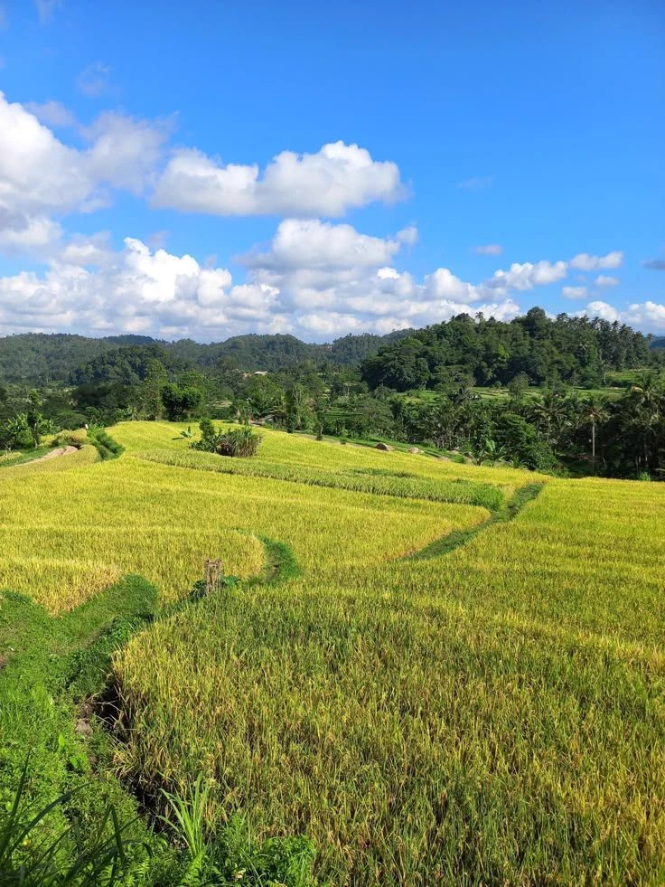 Javanese Village thumbnail