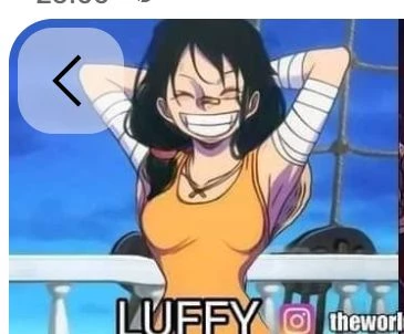 You are Luffy's little sister. thumbnail