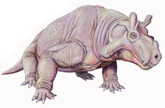 Estemmenosuchus thumbnail