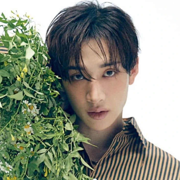 Bangchan thumbnail