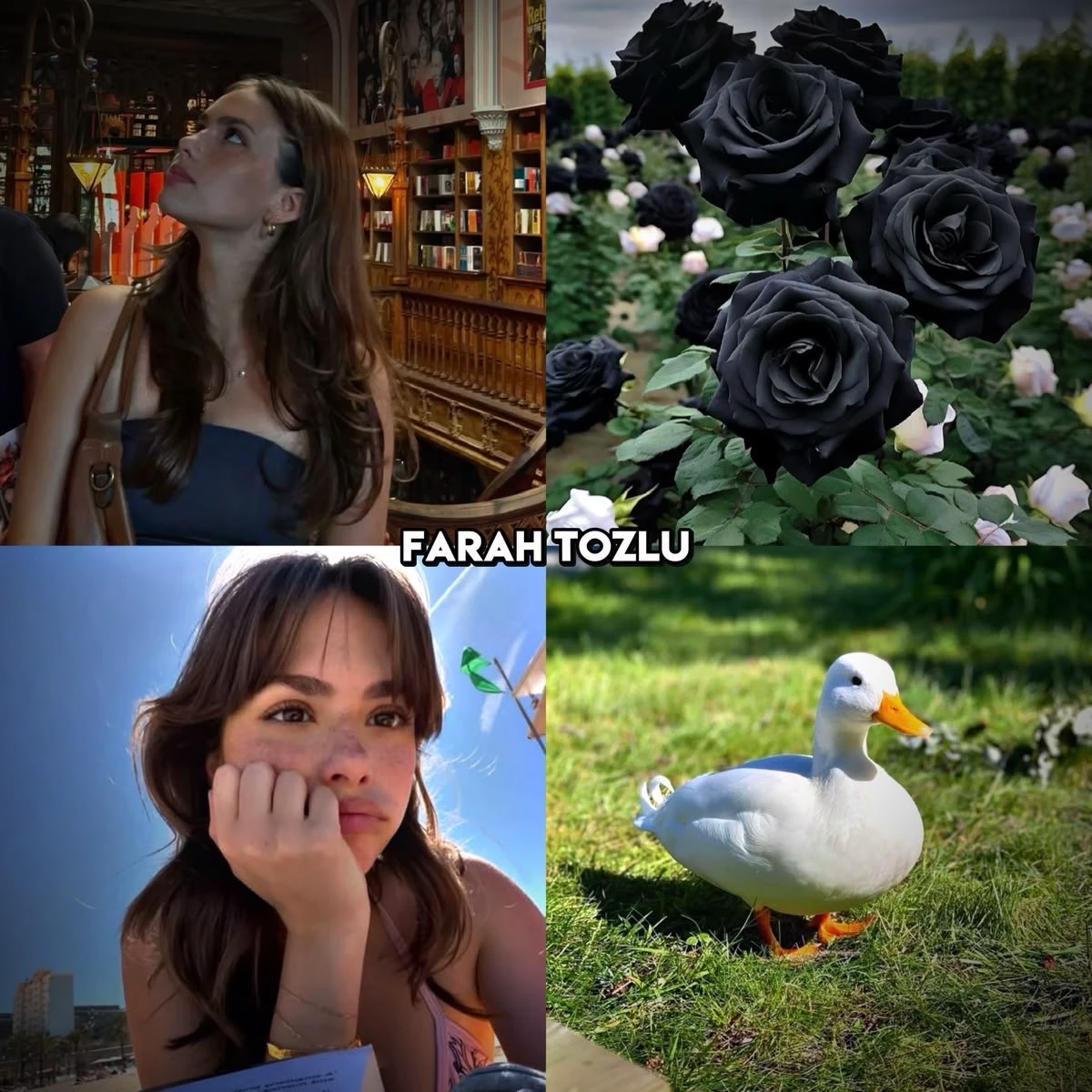 Farah