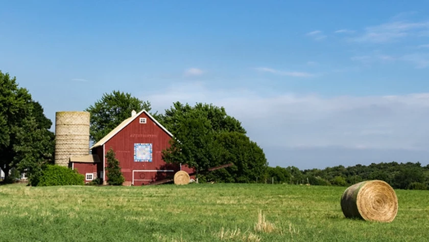 Vore farm (interactive vore) thumbnail