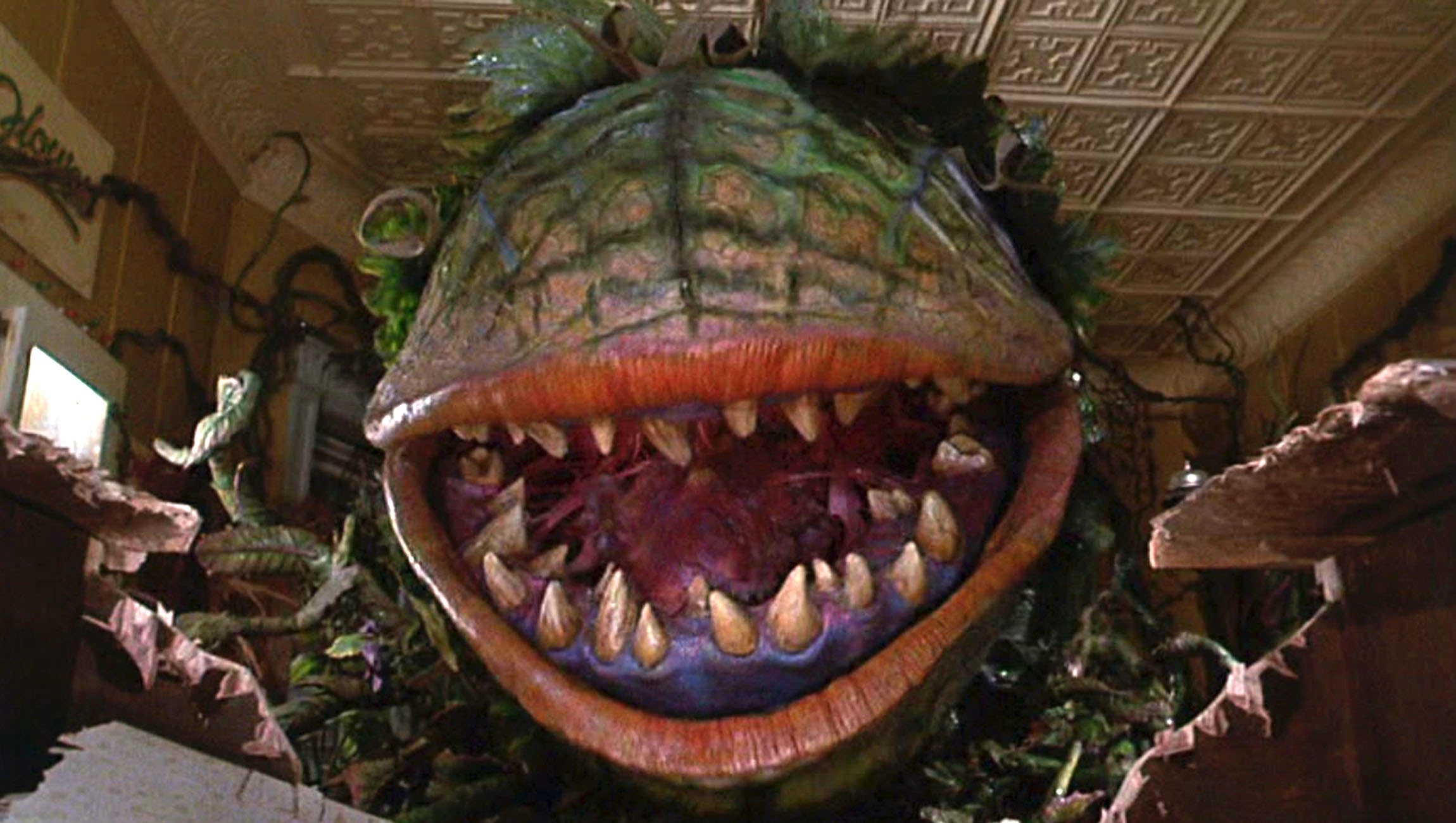 Audrey 2 thumbnail