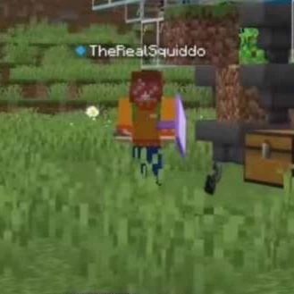 Lifesteal SMP thumbnail