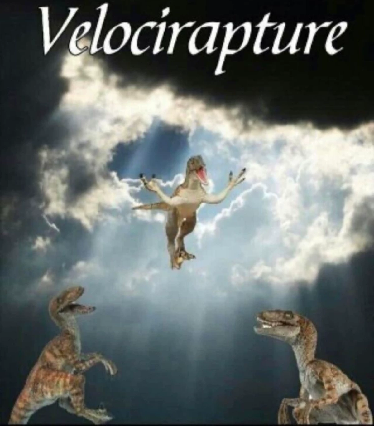 The Sacred Raptor thumbnail