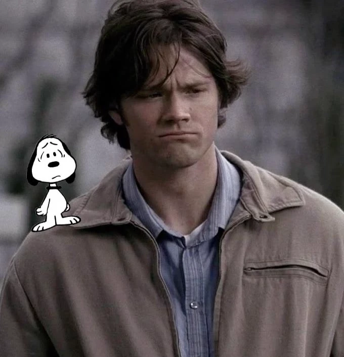 🦴Sam Winchester🦴 thumbnail