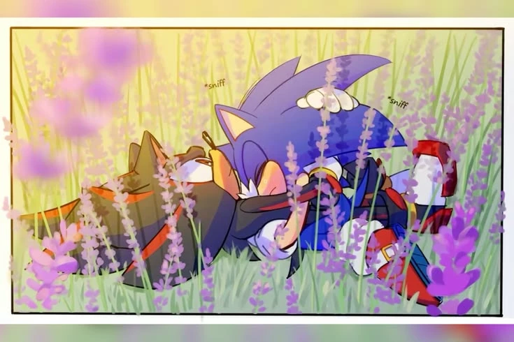 Shadow/Sonadow thumbnail