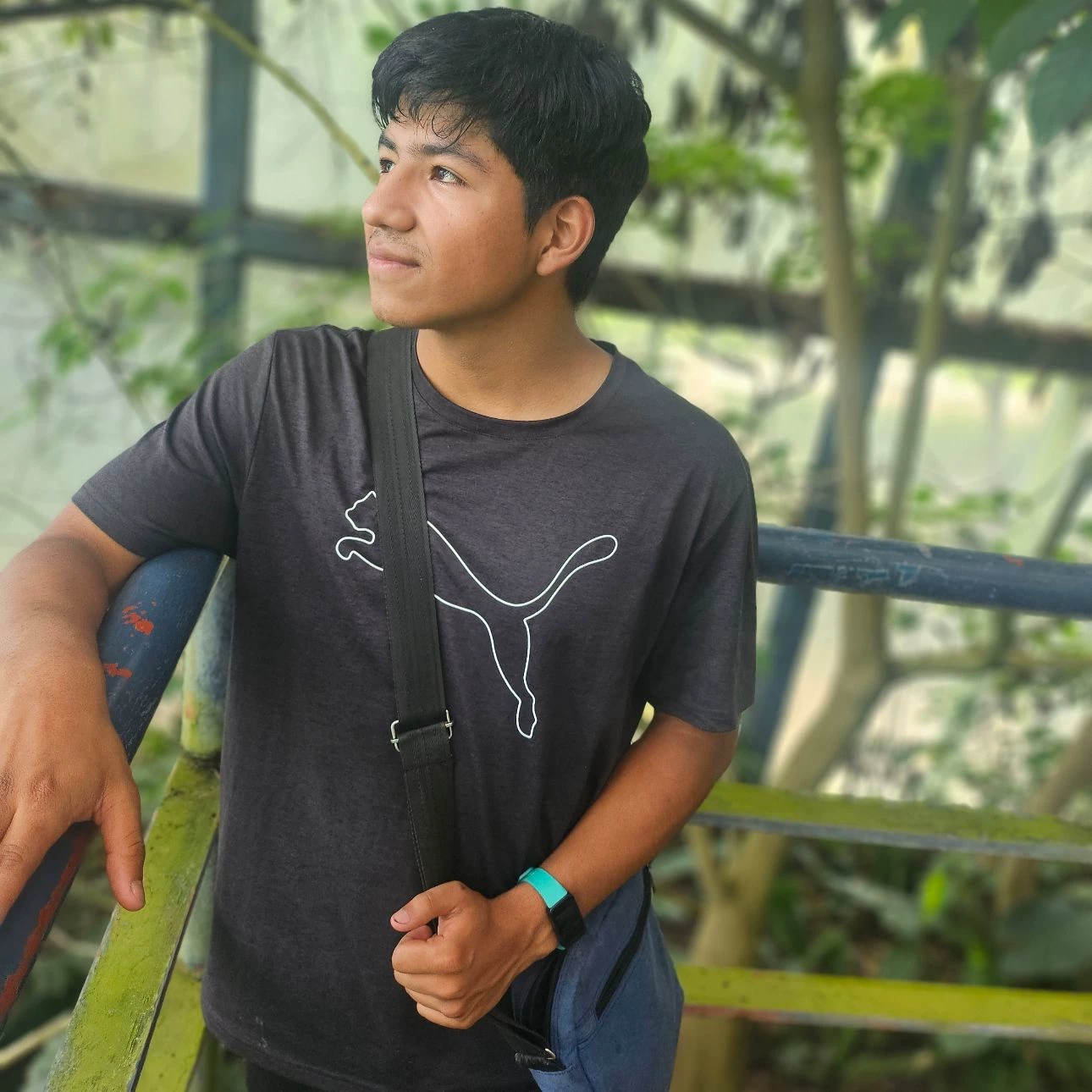 Braulio thumbnail