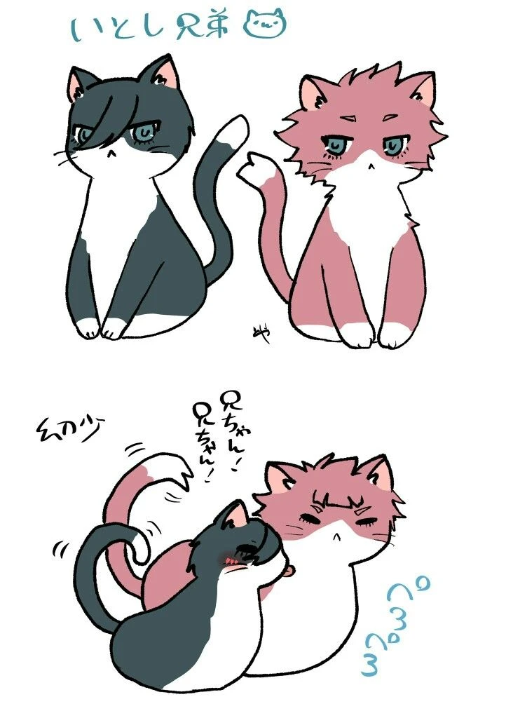 Sae and Rin your cat neighbors thumbnail
