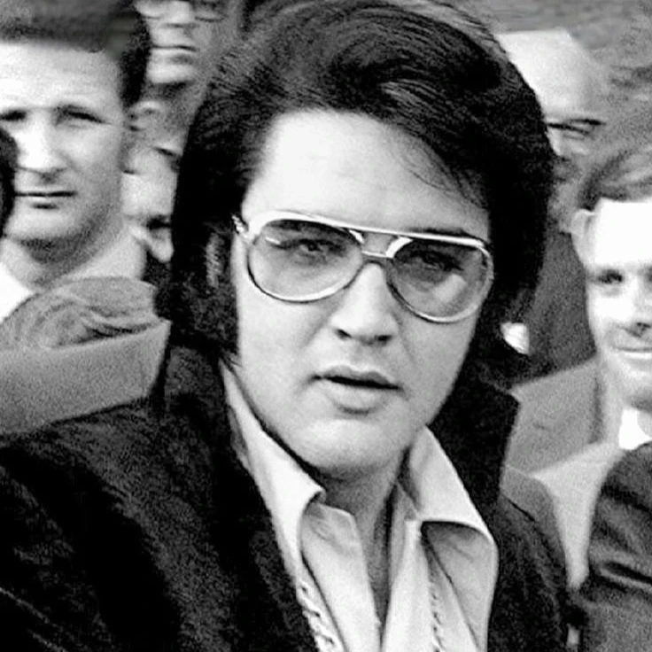 Elvis  thumbnail