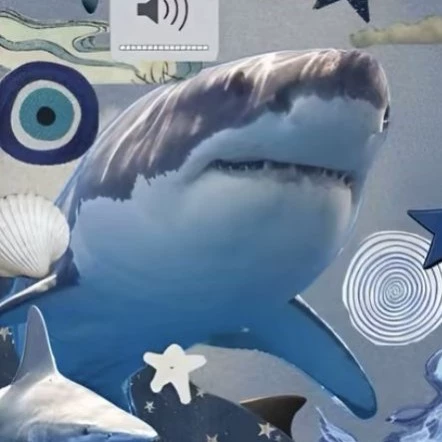 •°☆ 𝓢𝓱𝓪𝓻𝓴 ☆°•