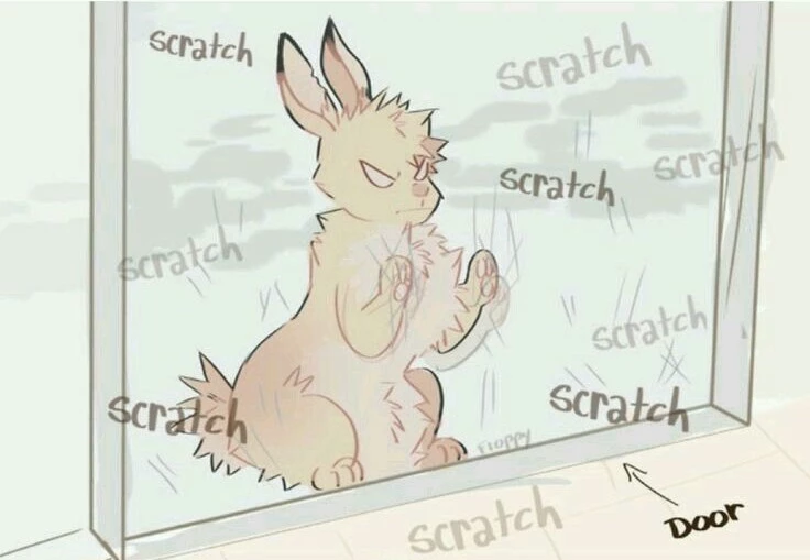 Katsuki Bakugo - Liebre thumbnail