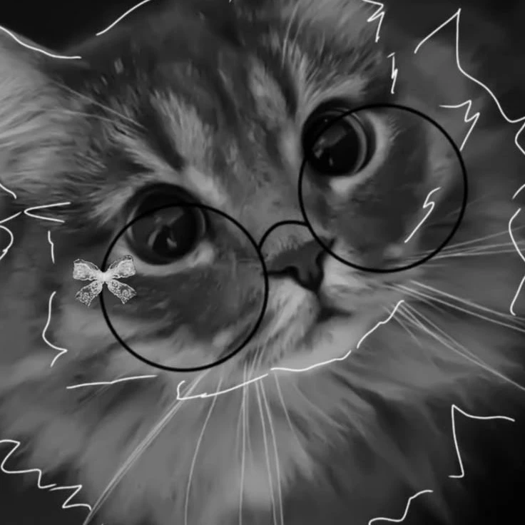 ★𝓝𝔂𝔁_𝓨𝓪𝓼𝓱𝓸𝓻𝔂★✓