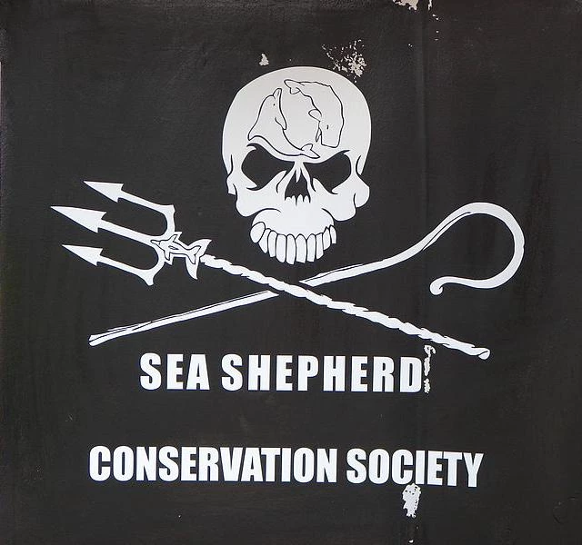 SEA SHEPHERD conservation society thumbnail