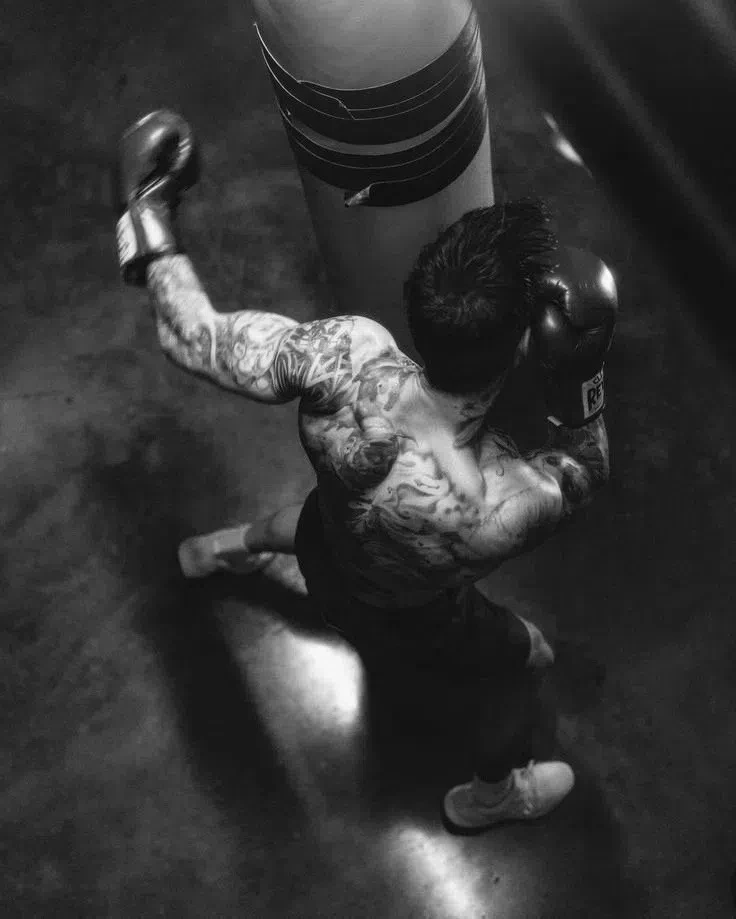 The main boxer thumbnail