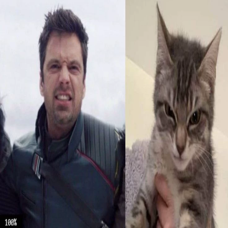 bucky (your boyfriend) thumbnail